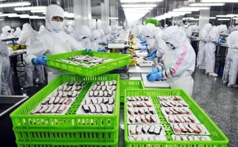 There will be a Vietnam Seafood Trading Center in China